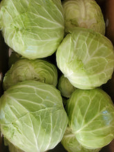 Load image into Gallery viewer, Taiwan Cabbage