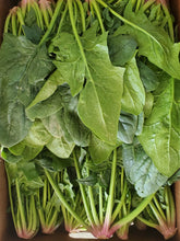 Load image into Gallery viewer, Taiwan Spinach