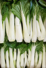 Load image into Gallery viewer, Long Bok Choy