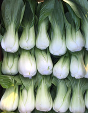 Load image into Gallery viewer, Shanghai Bok Choy