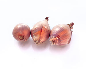 Shallot USA